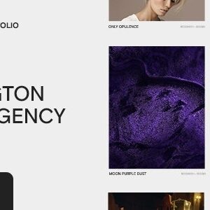 Harington主题 - 创意组合WordPress主题