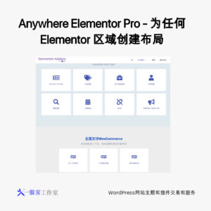 Anywhere Elementor Pro - 为任何 Elementor 区域创建布局