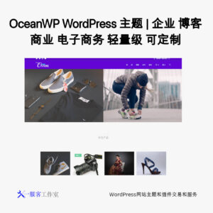 OceanWP WordPress 主题 | 企业 博客 商业 电子商务 轻量级 可定制