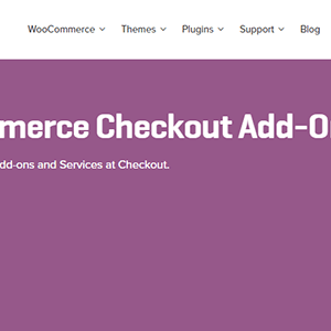 WooCommerce Checkout Add-Ons WooCommerce电商结账附加产品和服务