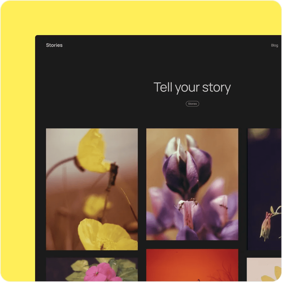 WordPress 6.7 “Rollins”发布