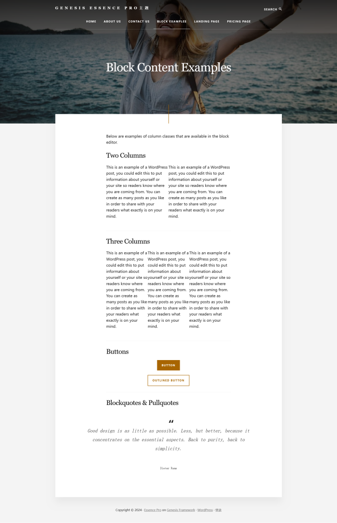 Genesis Essence Pro主题实例镜像