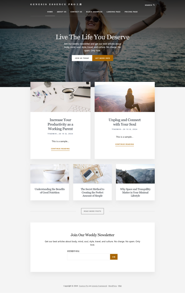 Genesis Essence Pro主题实例镜像
